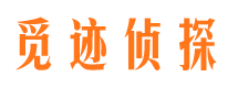 保定调查事务所